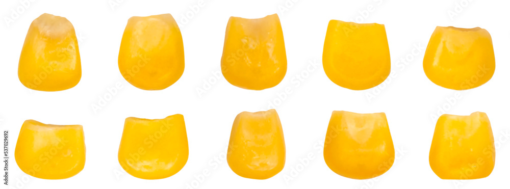 Poster corn grains set isolated on white background. color image of several corn kernels. vector mesh illus