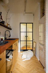 Stylish kitchen interior of modern apartment made in white and beige tones with glass door in loft style. White dog lying on wooden floor