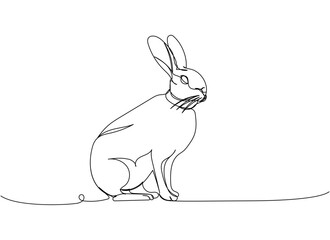 Alaskan Hare, bunny one line art. Continuous line drawing of pet, mammal, breed, zodiac, china, oriental, domestic, easter, bunny, animal, year new, 2023, hare.