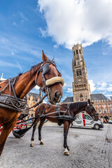 Naklejka na ściany i meble Horses in Grote Markt, Brugge, Belgium
