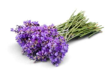 Naklejka premium Lavender flowers isolated on white background