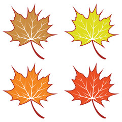 Maple leaf logo Template vector icon illustration design