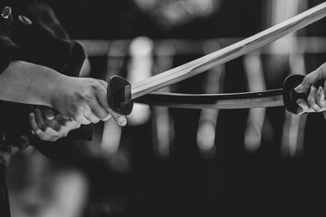 日本刀を構える人物（Demonstration of Japanese sword）