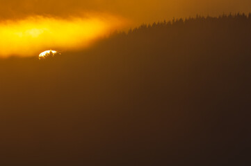 Sun rising above forest, Sweden