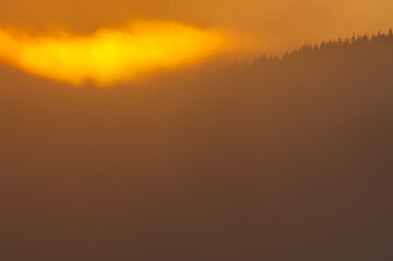 Sun rising above forest, Sweden