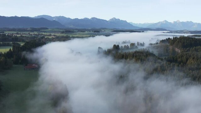 Aerial view of the river Lech with fog in autumn near Steingaden