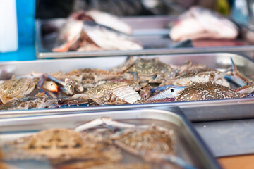 crabs at the fish market in Malta