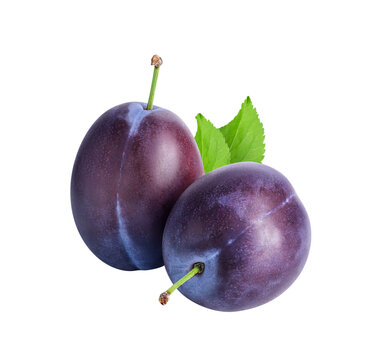 Plum fruits isolated on white or transparent background. Two fresh prunes with green leaves