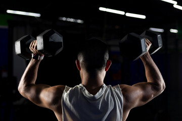 back of a muscular man, doing exercises with dumbbells in the gym