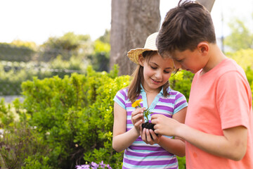 Caucasian children spending time together in the garden, planting