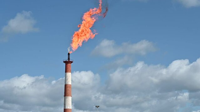 station de stockage et traitement de gaz, reserve de gaz de France. brulage des r&eacute;sidu de stock de gaz industriel.