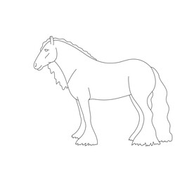 Irish cob horse, side view, linear contour for coloring