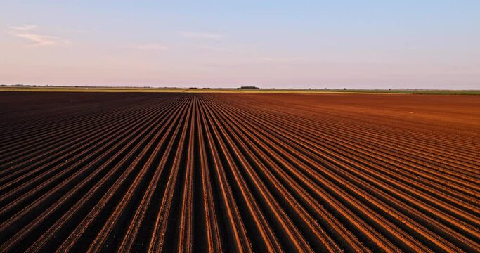 Drone shot of a fertile arable agricultural industrial farm field