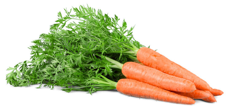 Carrots