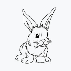Fototapeta na wymiar Cute hand draw small rabbit . Illustration of bunny