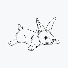 Cute hand draw small lying rabbit . Illustration of bunny