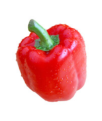 Closeup of a red bell pepper with water droplets isolated on transparent backdrop, PNG file