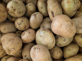 Close-up of potatoes