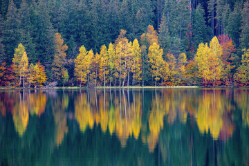 Obraz premium Landscape of Saint Ana lake - Romania in autumn