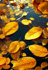 Golden leaves float on dark water render