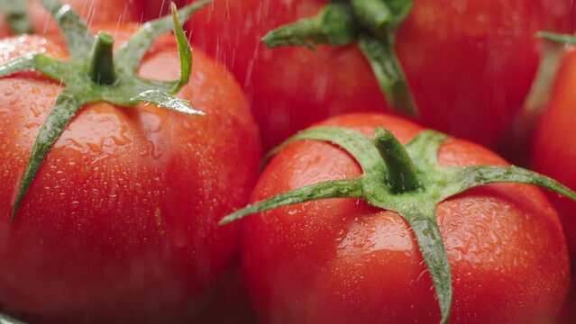 closeup of rotating tomato basket with water splashing in slow motion