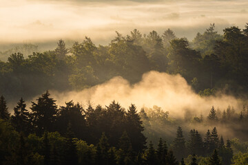fog in a valley in the landscape of Hrbuboskalsk in the Czech Republic. Photographed in the summer. mist creeps around the trees and woods just after sunrise