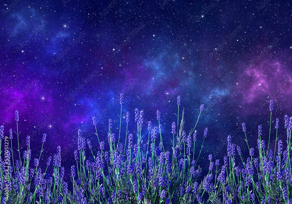 Wall mural lavender flowers, in front of night sky with nebula and stars