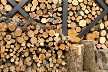 stack of firewood, wood of different species