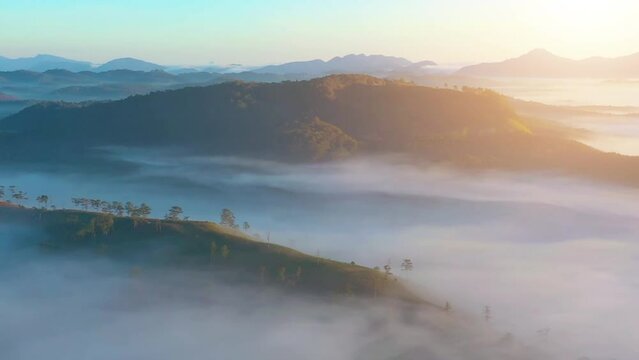 Aerial view of mountain road and the greenhouse with fog clouds sun rise on mountain in fog in area of Dalat, Vietnam. Below is the beautiful green pine forest and fog in nature.