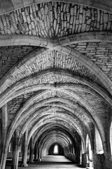 arches of fountains abbey - obrazy, fototapety, plakaty