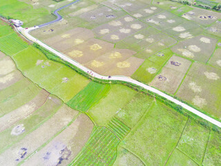 Obraz premium Abstract Defocused Blurred Background Aerial photo of rice field landscape after harvest in Cikancung area - Indonesia. Not Focus