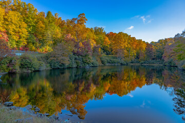 Fototapeta na wymiar Fall reflections on the pond