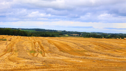 Landscape in summer in Prince Edwards Island Canada