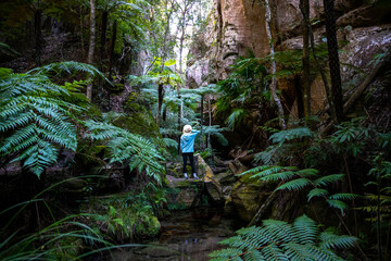 beautiful girl in hat surrounded by huge tree ferns in carnarvon gorge, hiking in carnarvon gorge...