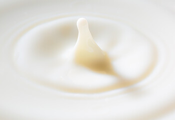 Macro milk drop,milk drops with ripples 