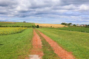 Landscape in summer in Prince Edwards Island Canada