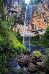 purling brook falls in springbrook national park, australia; a massive waterfall in the tropical rainforest near gold coast, queensland
