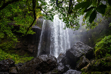 Obraz premium tropical rainforest waterfall in the atherton tablelands in queensland, australia; hidden gems of australia; hiking in the australian rainforest