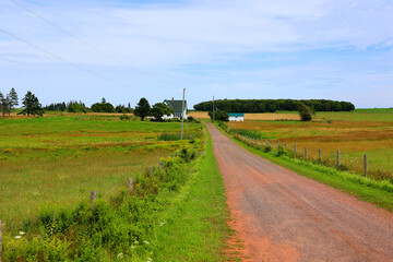 Landscape in summer in Prince Edwards Island