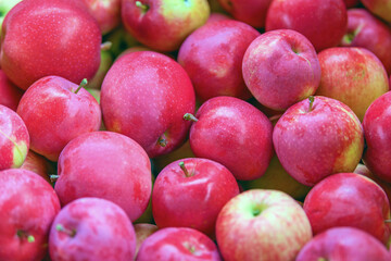 Ripe and juicy red apples in selective focus are sold in the market. Autumn fruit harvest.