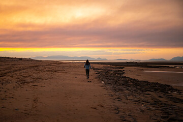 Naklejka premium dark silhouette of girl against red sunset on australian beach with palm trees in background, burning sky, red sunset at balgal beach in northern queensland caused by sugarcane burning