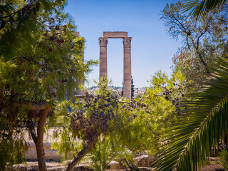 Temple of Olympian Zeus Framed by Trees