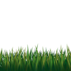 Obraz premium green grass isolated on transparent background