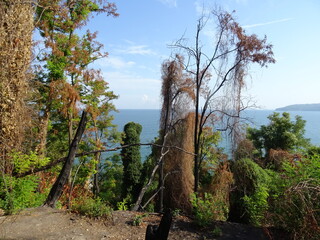 Nice summer view from Varna in Bulgaria 