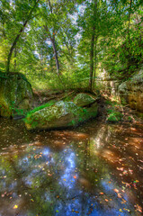 Forest, stone, river, and light
