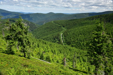 Fototapeta na wymiar Views of Hruby Jesenik, Jeseniky Mountains