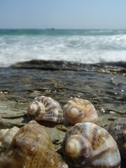 Nice summer view from Varna in Bulgaria 