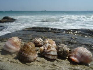 Nice summer view from Varna in Bulgaria 