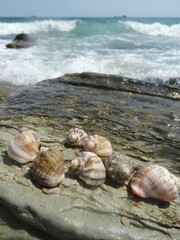 Nice summer view from Varna in Bulgaria 