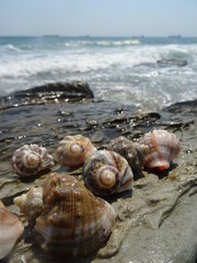 Nice summer view from Varna in Bulgaria 